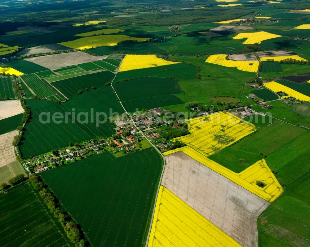 Aerial image Sophienthal - Yellow - green contrast of blooming rapeseed flowers on field stripes in Sophienthal in the state Schleswig-Holstein, Germany