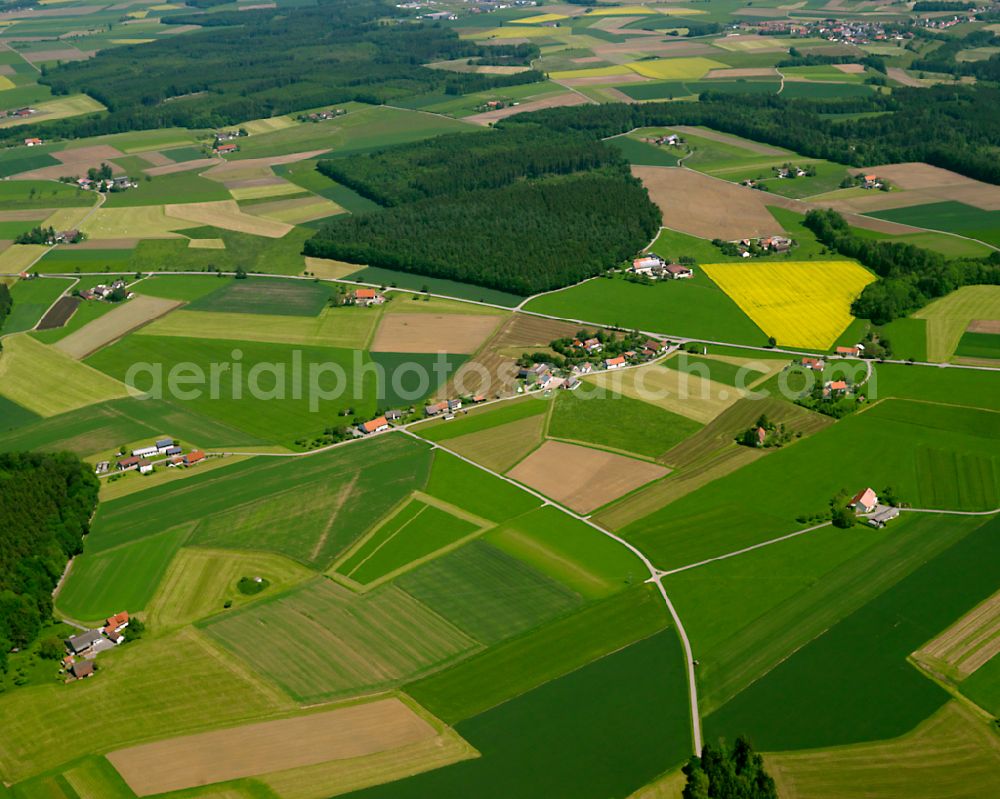 Aerial image Steinhausen an der Rottum - Yellow - green contrast of blooming rapeseed flowers on field stripes in Steinhausen an der Rottum in the state Baden-Wuerttemberg, Germany