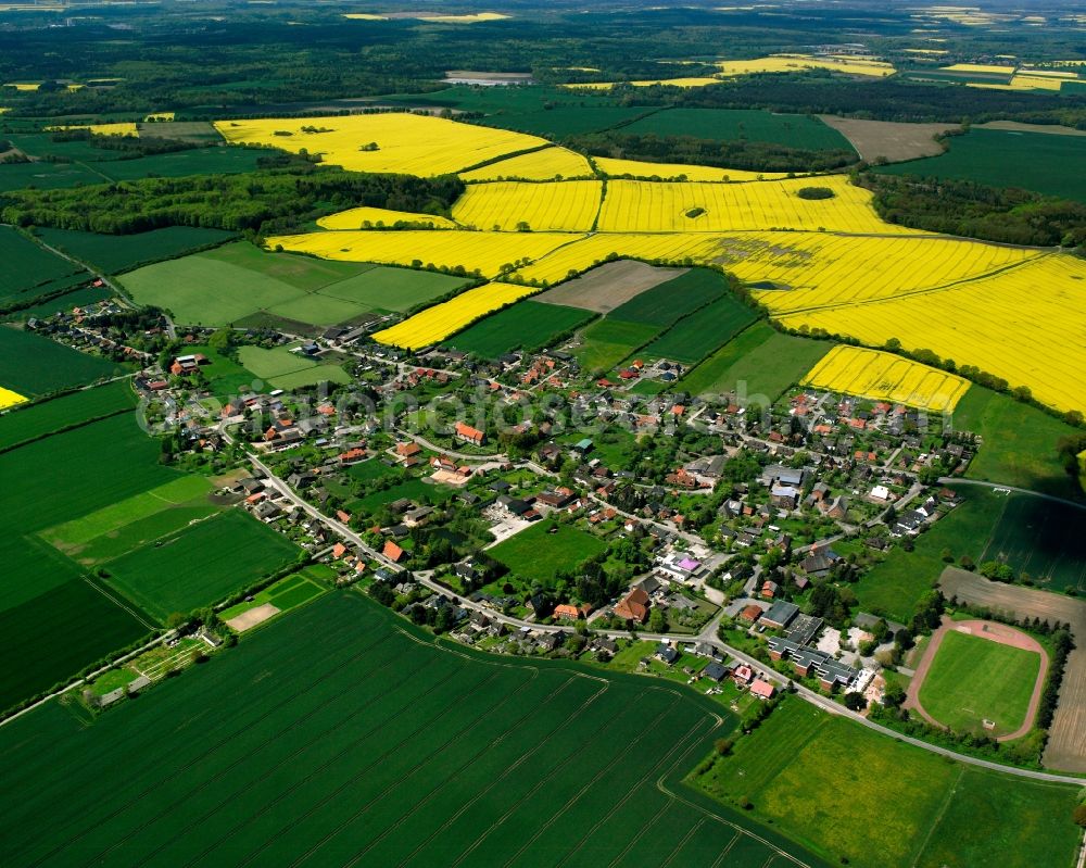 Aerial photograph Sterley - Yellow - green contrast of blooming rapeseed flowers on field stripes in Sterley in the state Schleswig-Holstein, Germany