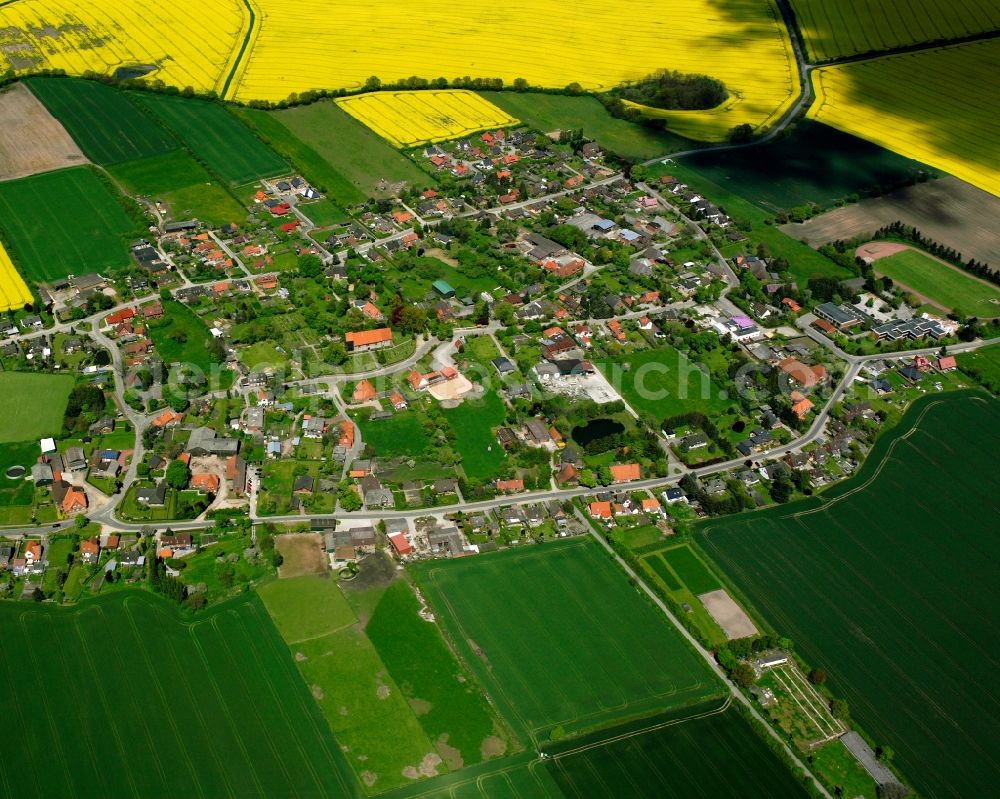 Sterley from above - Yellow - green contrast of blooming rapeseed flowers on field stripes in Sterley in the state Schleswig-Holstein, Germany