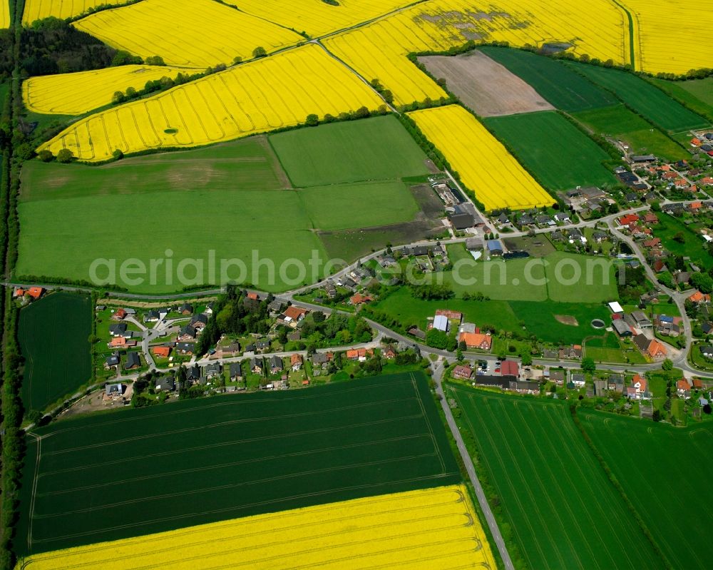 Sterley from the bird's eye view: Yellow - green contrast of blooming rapeseed flowers on field stripes in Sterley in the state Schleswig-Holstein, Germany