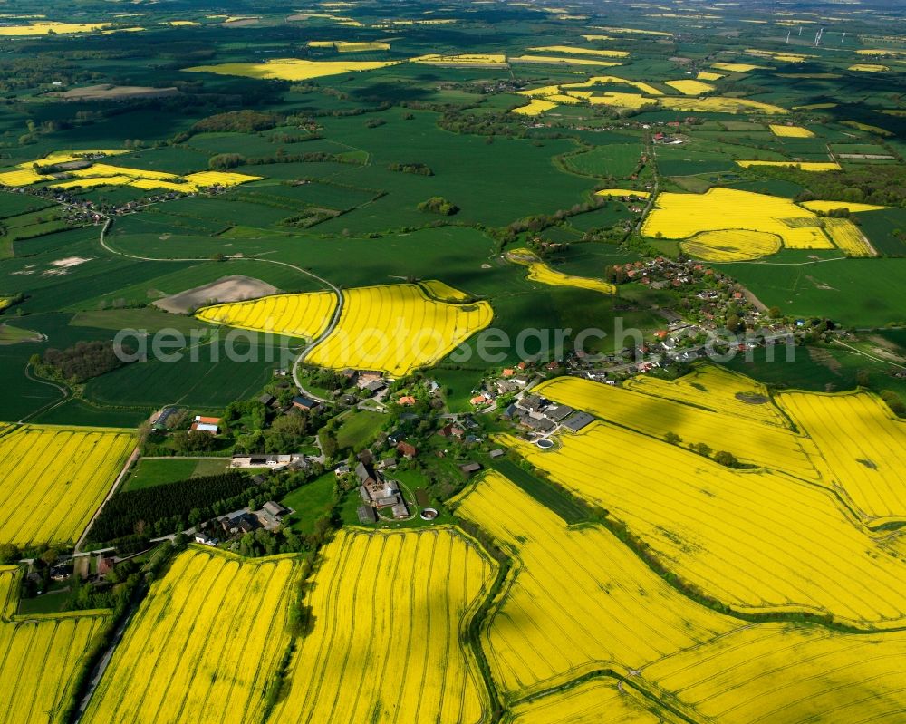 Aerial image Stubben - Yellow - green contrast of blooming rapeseed flowers on field stripes in Stubben in the state Schleswig-Holstein, Germany