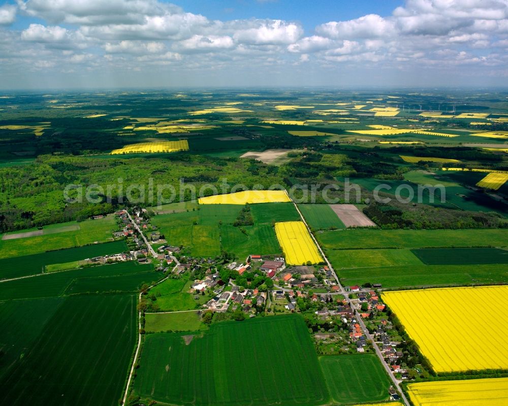 Tramm from the bird's eye view: Yellow - green contrast of blooming rapeseed flowers on field stripes in Tramm in the state Schleswig-Holstein, Germany