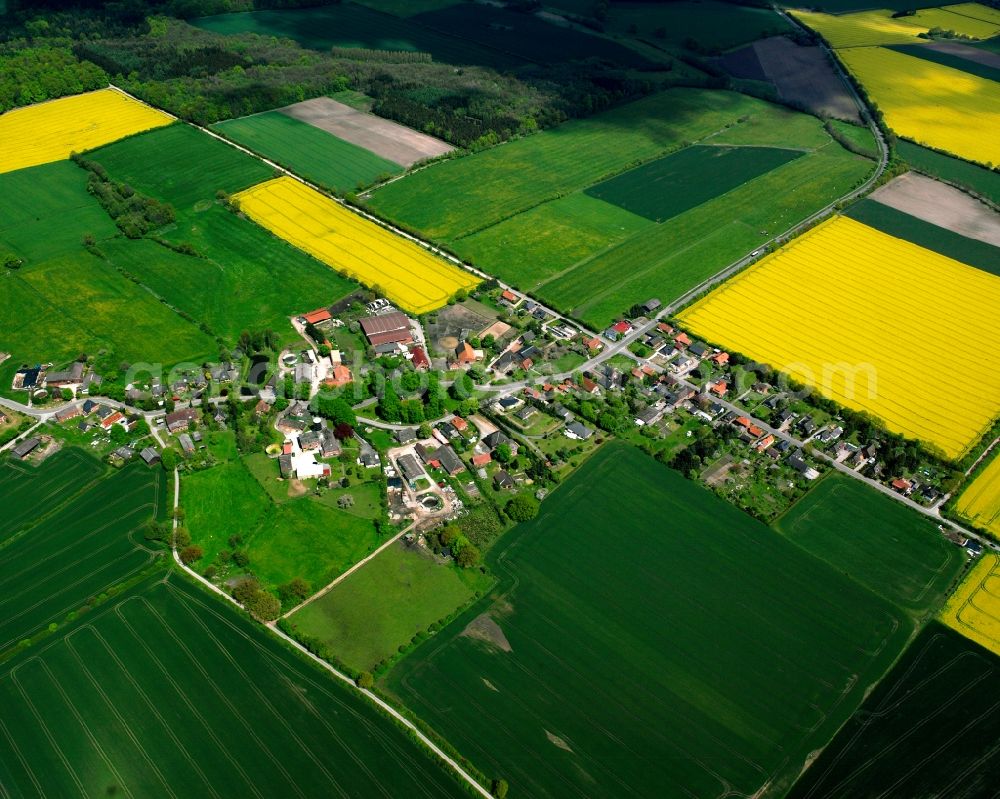 Aerial image Tramm - Yellow - green contrast of blooming rapeseed flowers on field stripes in Tramm in the state Schleswig-Holstein, Germany