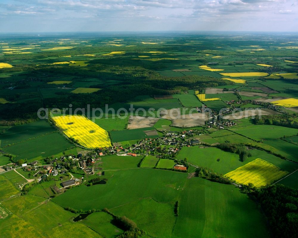 Aerial image Wentorf (Amt Sandesneben) - Yellow - green contrast of blooming rapeseed flowers on field stripes in Wentorf (Amt Sandesneben) in the state Schleswig-Holstein, Germany