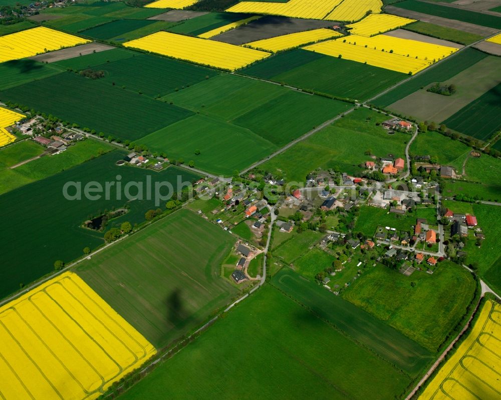 Aerial photograph Wiershop - Yellow - green contrast of blooming rapeseed flowers on field stripes in Wiershop in the state Schleswig-Holstein, Germany