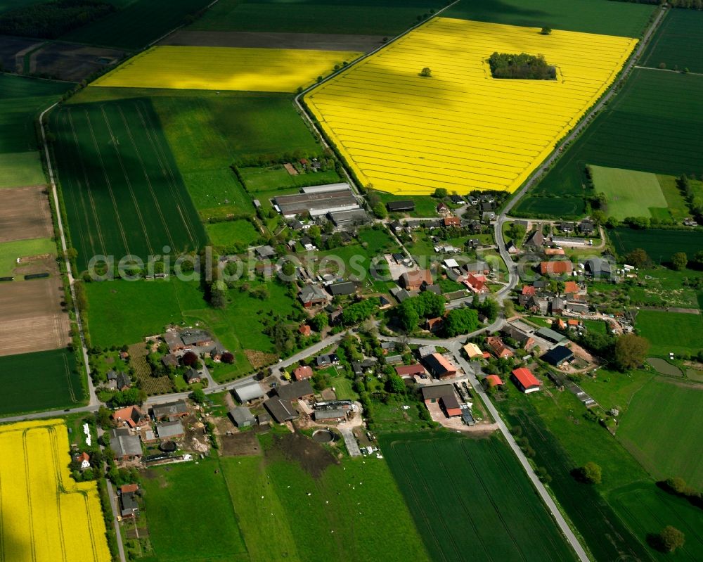 Aerial image Worth - Yellow - green contrast of blooming rapeseed flowers on field stripes in Worth in the state Schleswig-Holstein, Germany