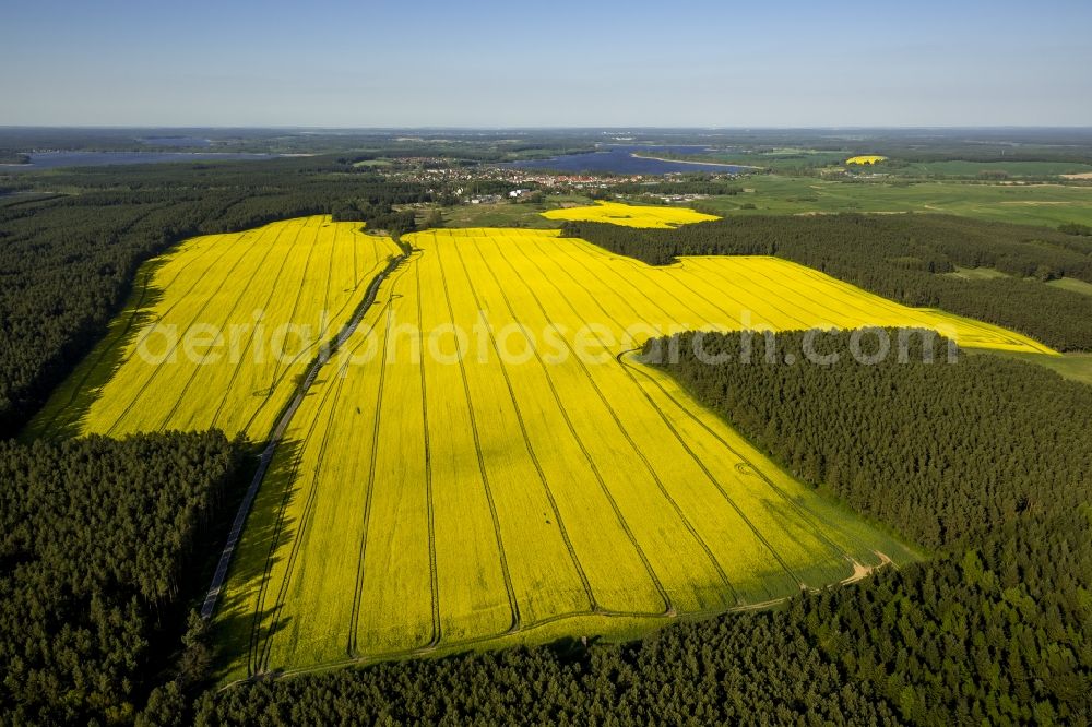 Aerial photograph Wesenberg - Yellow radiant rapeseed field landscape near Wesenberg in the state of Mecklenburg-Western Pomerania