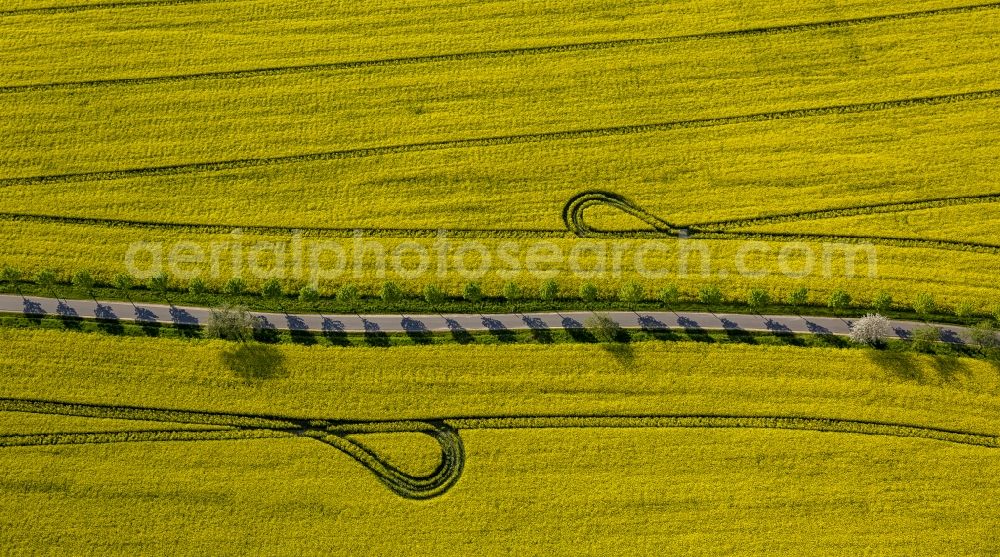 Aerial image Wesenberg - Yellow radiant rapeseed field landscape near Wesenberg in the state of Mecklenburg-Western Pomerania