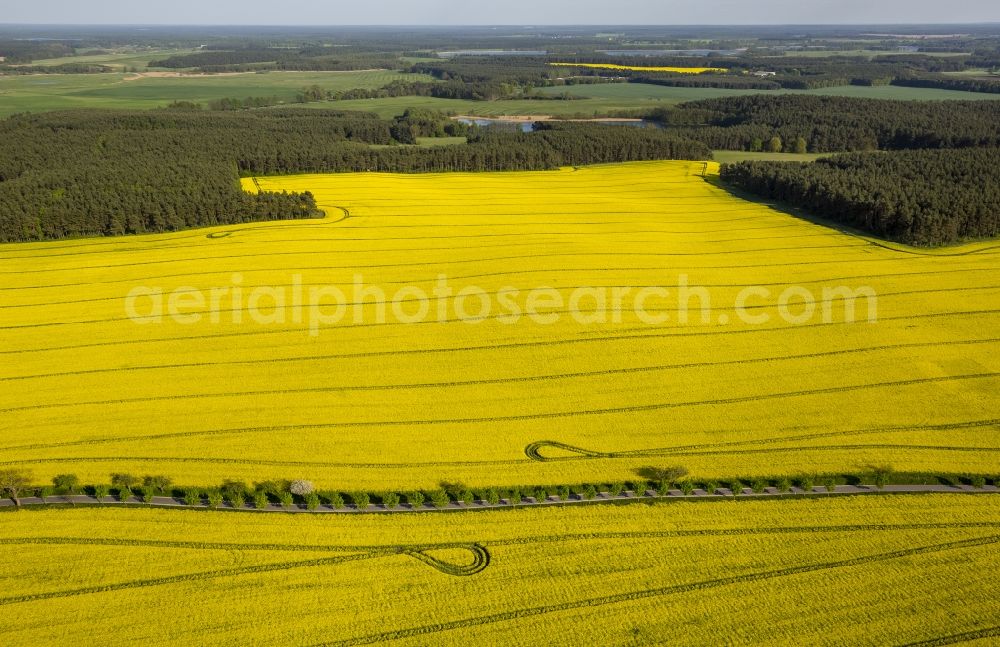 Wesenberg from the bird's eye view: Yellow radiant rapeseed field landscape near Wesenberg in the state of Mecklenburg-Western Pomerania