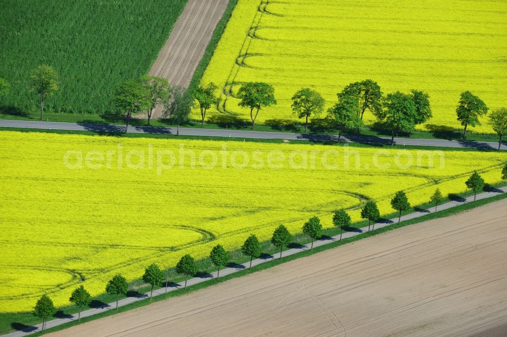 Aerial photograph Glöwen - Yellow flowers of rape - field - Landscape near Glöwen in Brandenburg