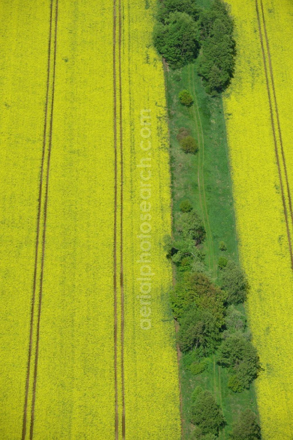 Klein Schmölen from above - Yellow flowers of rape - field - Landscape with Klein Schmölen in Mecklenburg-Western Pomerania