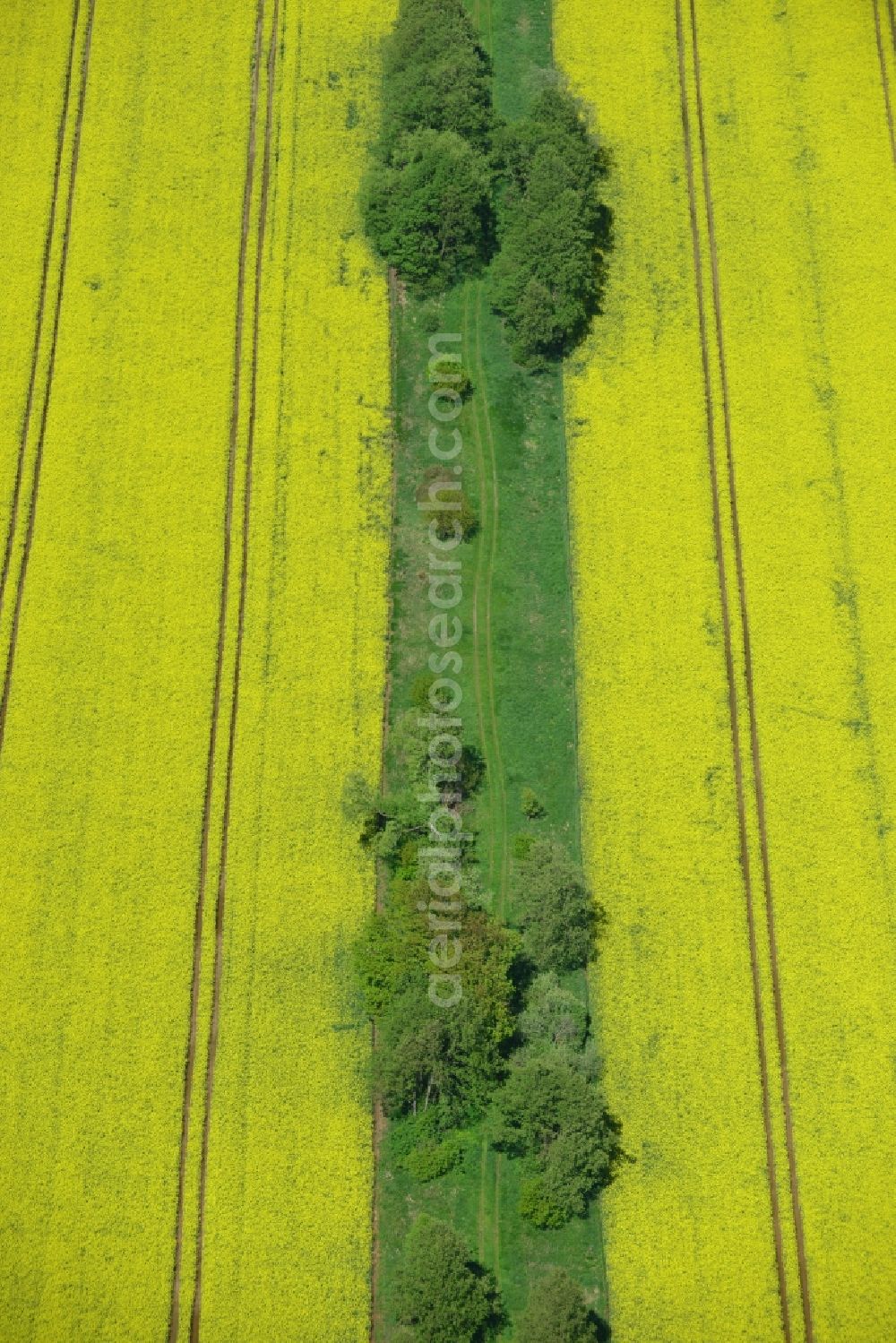 Aerial image Klein Schmölen - Yellow flowers of rape - field - Landscape with Klein Schmölen in Mecklenburg-Western Pomerania