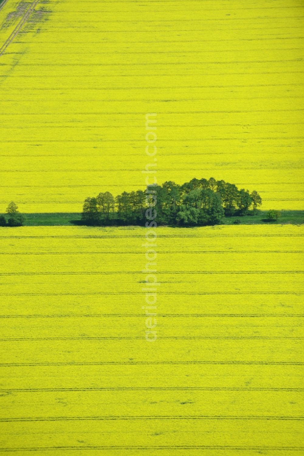 Klein Schmölen from above - Yellow flowers of rape - field - Landscape with Klein Schmölen in Mecklenburg-Western Pomerania