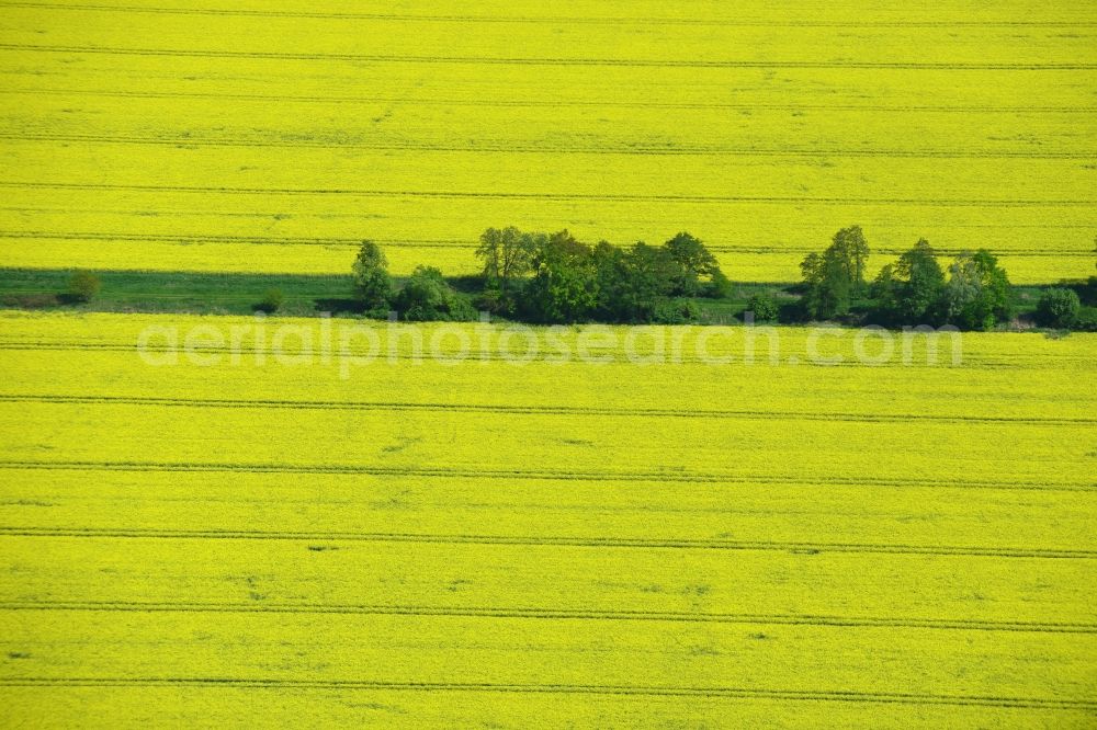 Klein Schmölen from the bird's eye view: Yellow flowers of rape - field - Landscape with Klein Schmölen in Mecklenburg-Western Pomerania