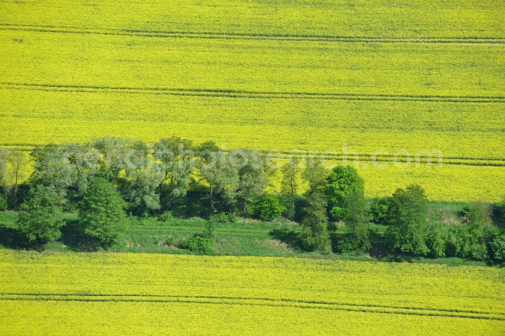 Klein Schmölen from above - Yellow flowers of rape - field - Landscape with Klein Schmölen in Mecklenburg-Western Pomerania