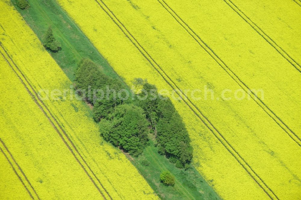 Klein Schmölen from the bird's eye view: Yellow flowers of rape - field - Landscape with Klein Schmölen in Mecklenburg-Western Pomerania