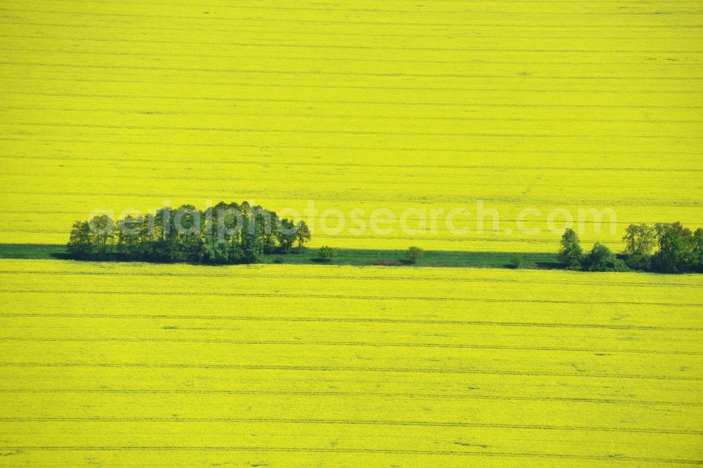 Klein Schmölen from above - Yellow flowers of rape - field - Landscape with Klein Schmölen in Mecklenburg-Western Pomerania