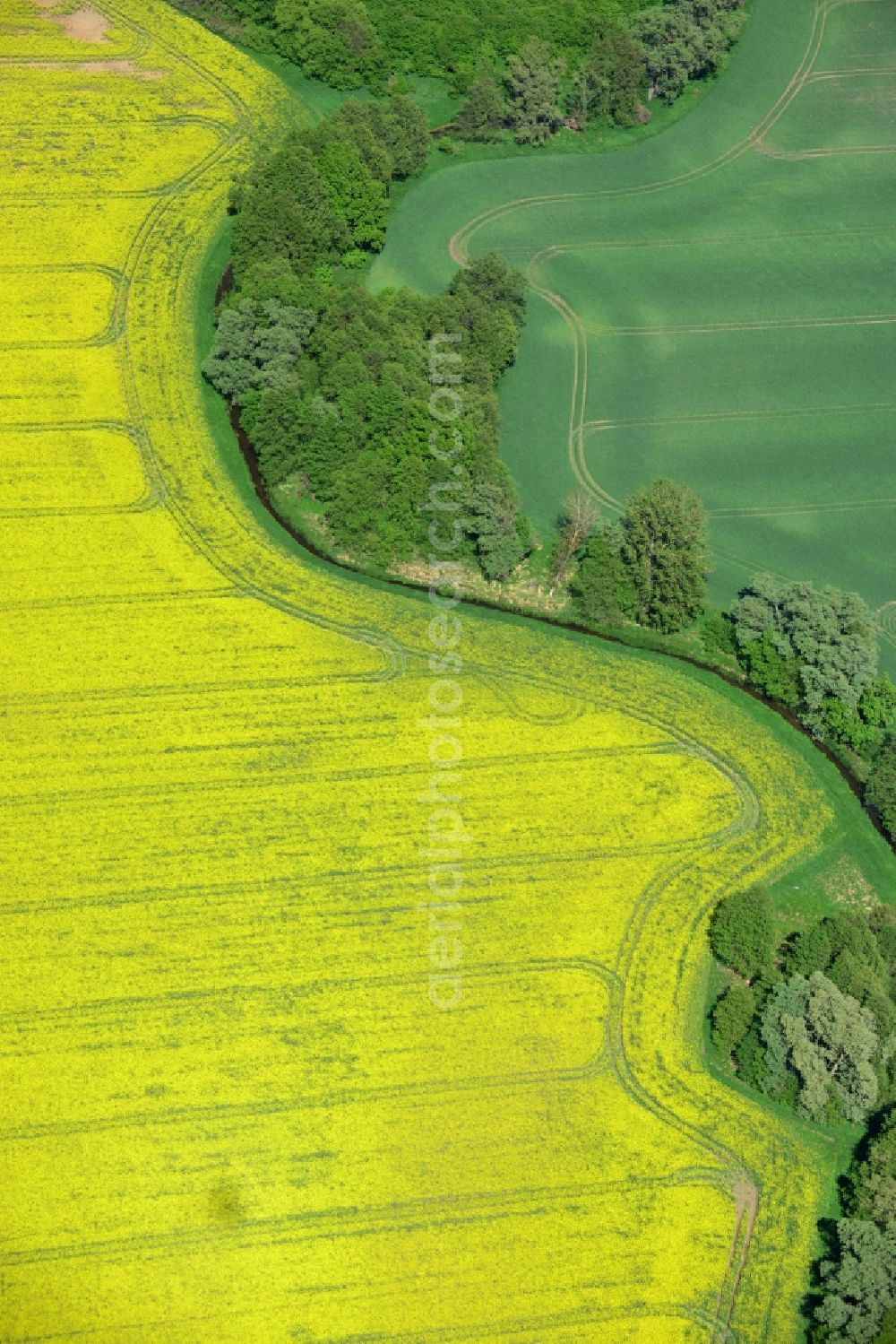 Zernitz from above - Yellow flowers of rape - field - Landscape near Zernitz in Brandenburg