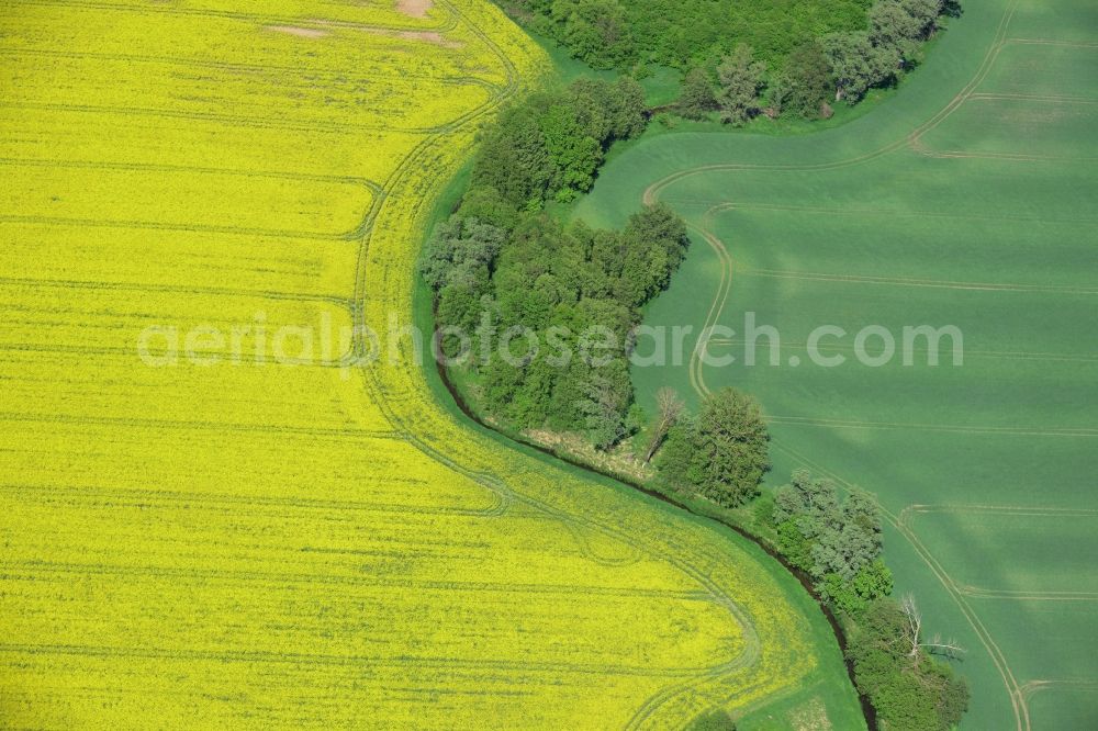 Aerial image Zernitz - Yellow flowers of rape - field - Landscape near Zernitz in Brandenburg