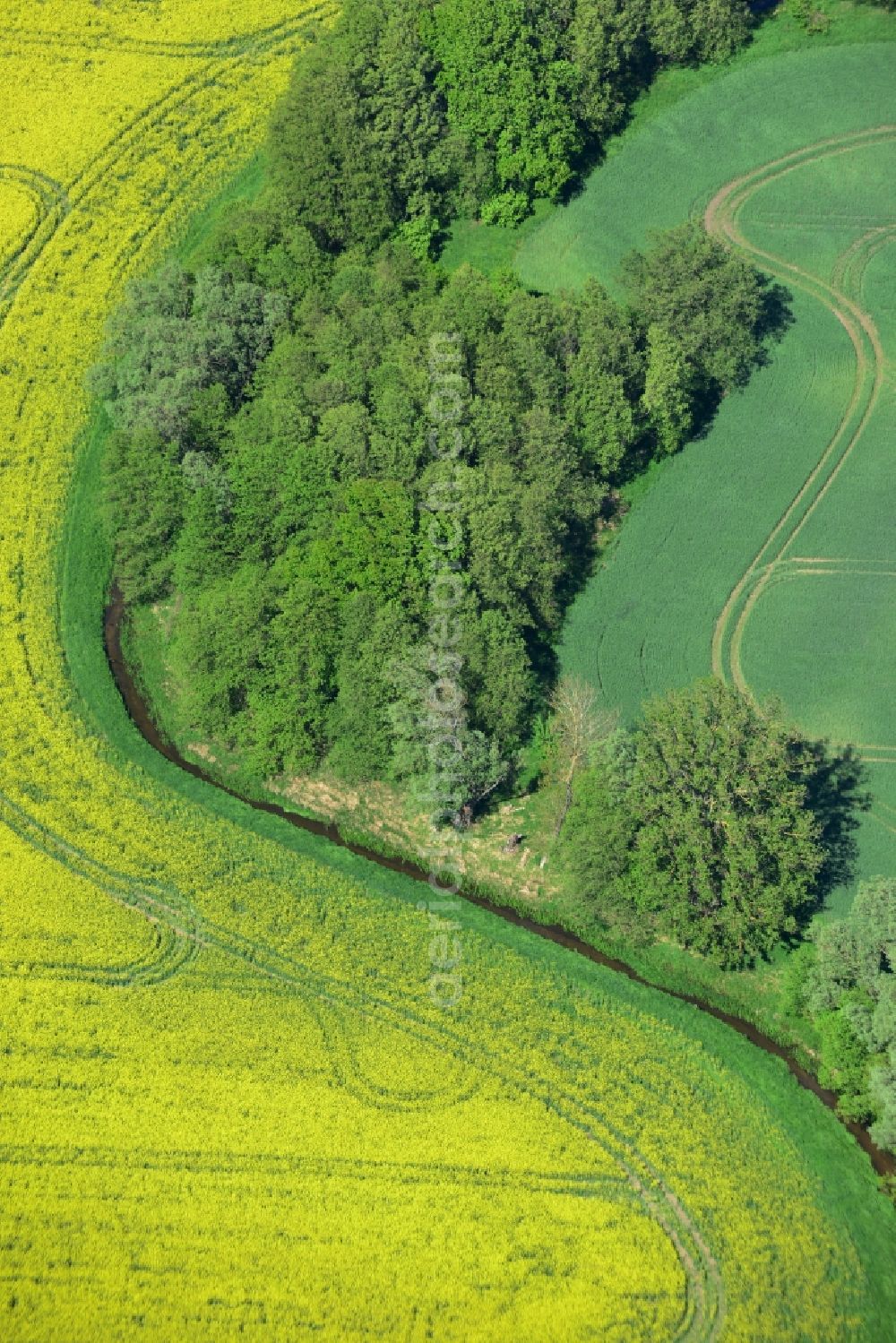 Zernitz from above - Yellow flowers of rape - field - Landscape near Zernitz in Brandenburg