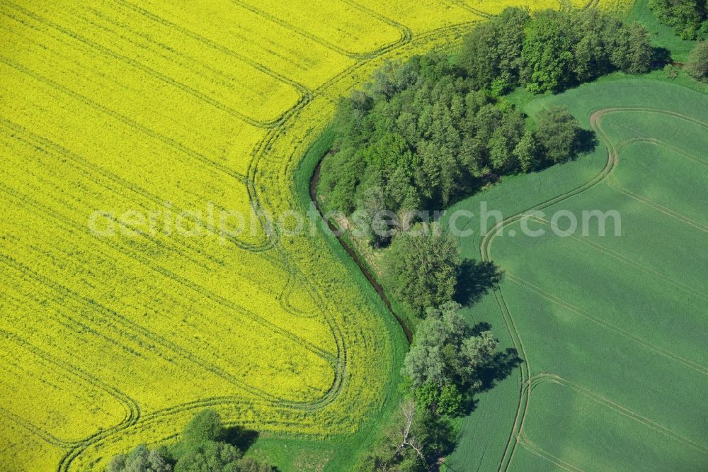 Zernitz from the bird's eye view: Yellow flowers of rape - field - Landscape near Zernitz in Brandenburg