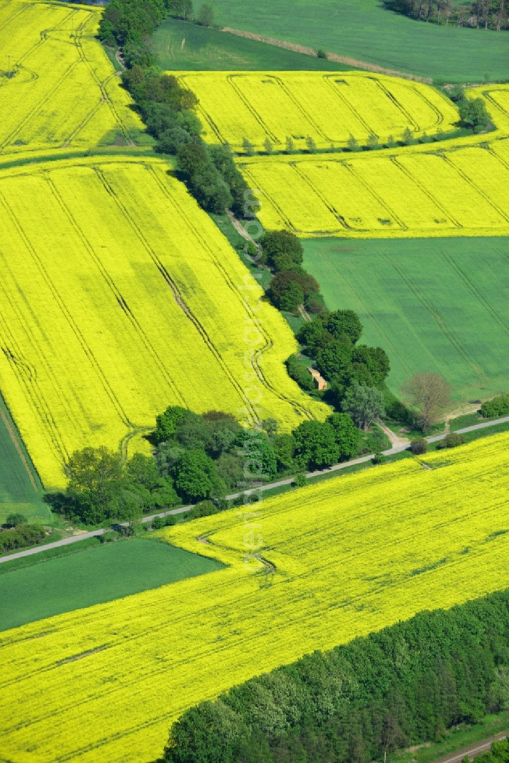 Aerial image Zernitz - Yellow flowers of rape - field - Landscape near Zernitz in Brandenburg