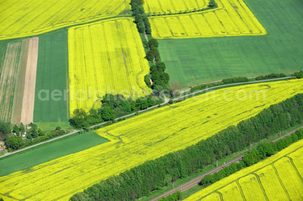 Aerial photograph Zernitz - Yellow flowers of rape - field - Landscape near Zernitz in Brandenburg