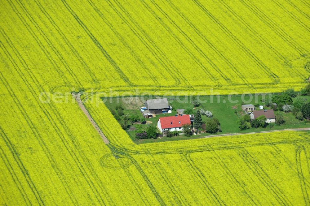 Aerial photograph Plattenburg - Yellow flowers of rape - field - Landscape near Plattenburg in Brandenburg