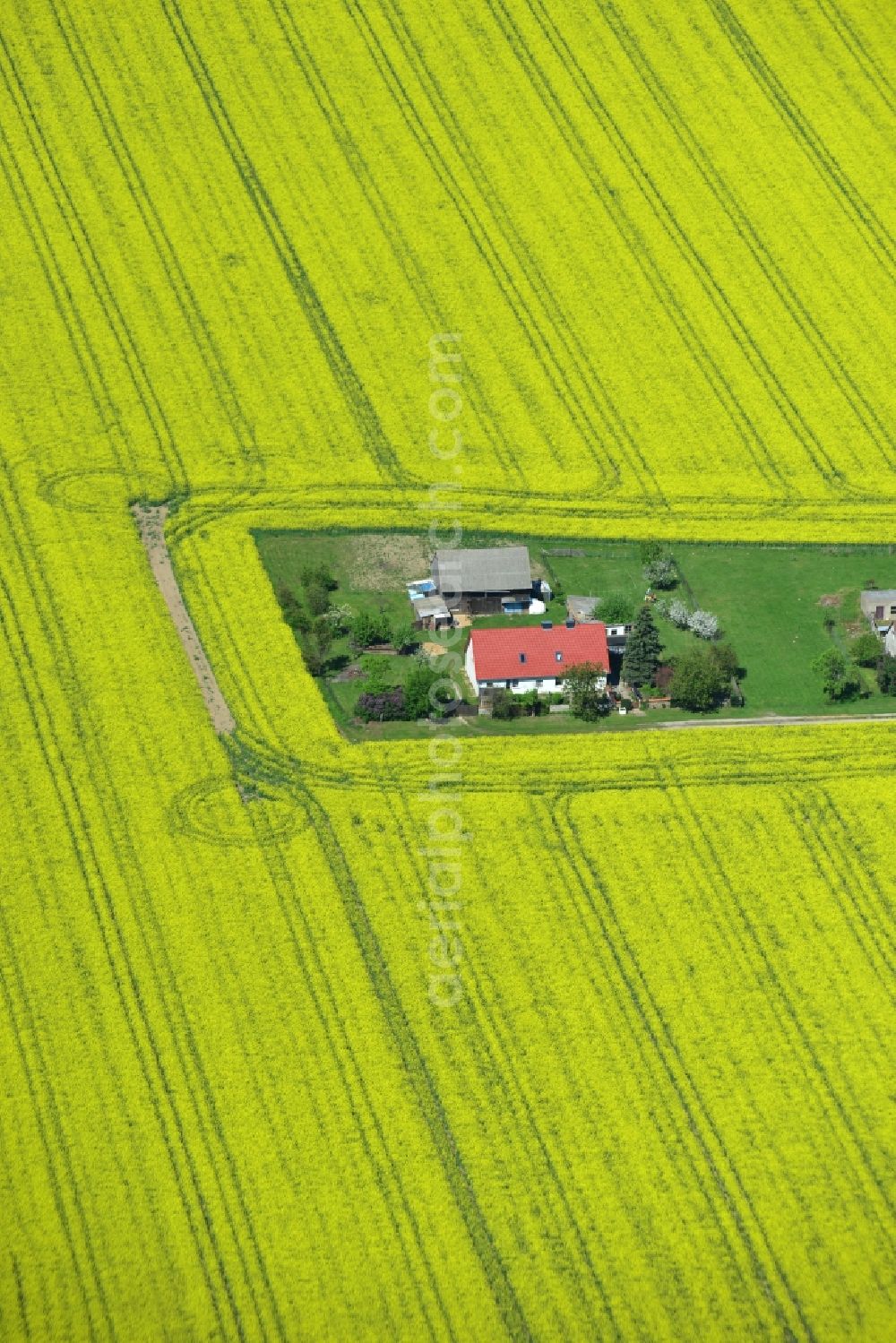 Plattenburg from above - Yellow flowers of rape - field - Landscape near Plattenburg in Brandenburg