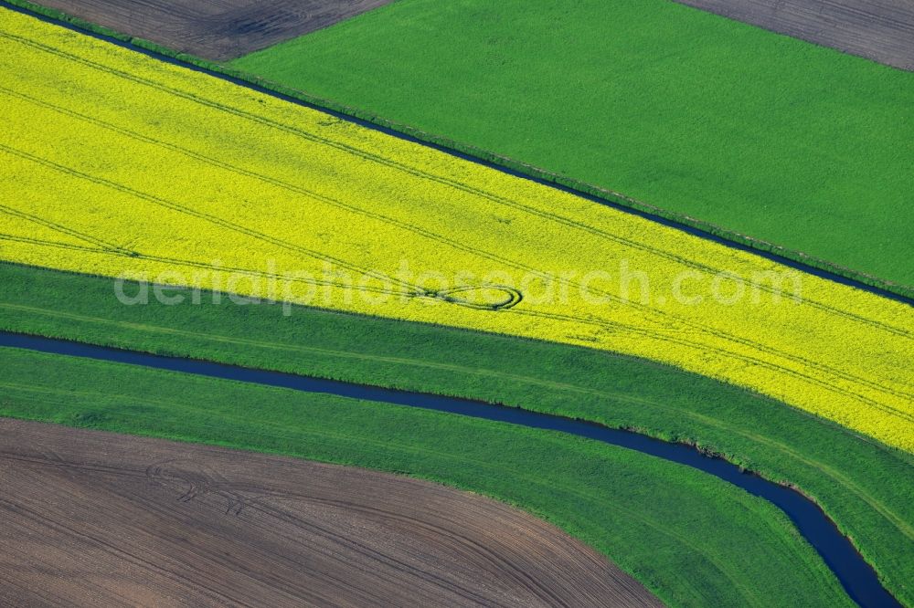 Vielank from the bird's eye view: Yellow flowers of rape - field - Landscape with Vielank in Mecklenburg-Western Pomerania