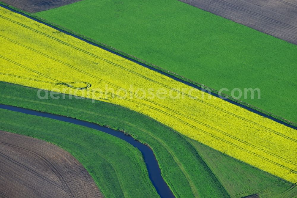 Aerial image Vielank - Yellow flowers of rape - field - Landscape with Vielank in Mecklenburg-Western Pomerania