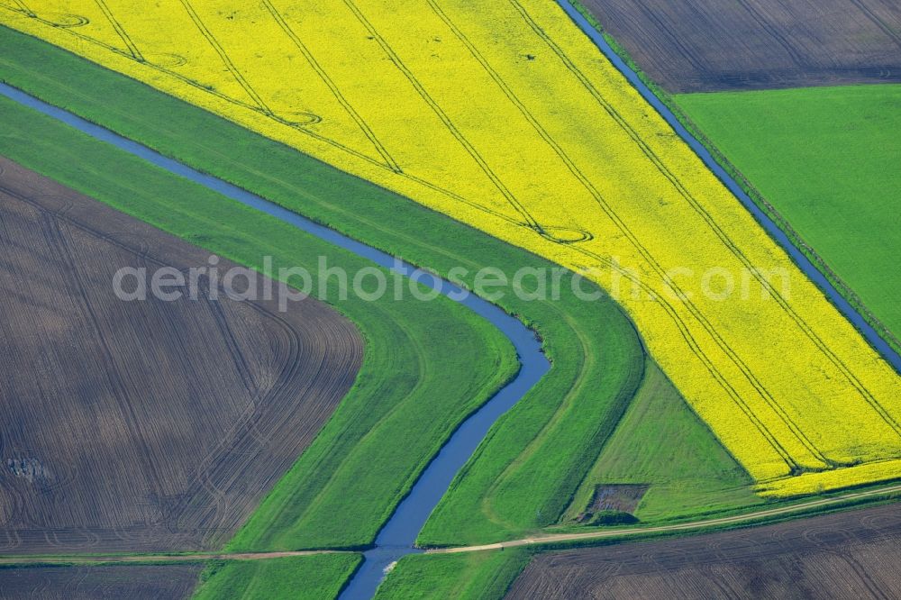 Vielank from above - Yellow flowers of rape - field - Landscape with Vielank in Mecklenburg-Western Pomerania