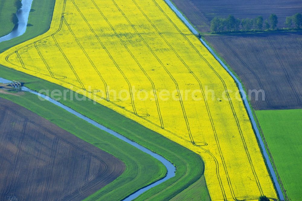 Vielank from the bird's eye view: Yellow flowers of rape - field - Landscape with Vielank in Mecklenburg-Western Pomerania