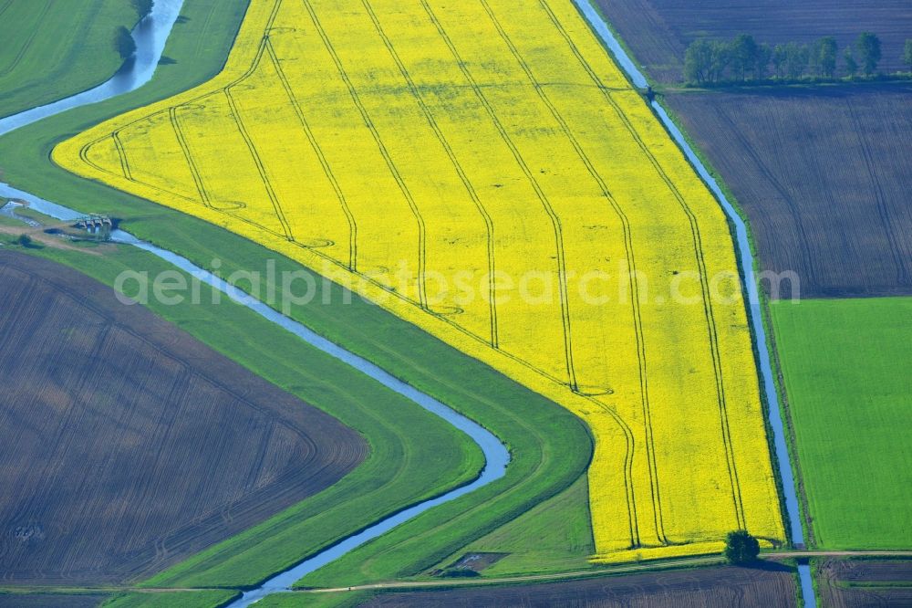 Aerial image Vielank - Yellow flowers of rape - field - Landscape with Vielank in Mecklenburg-Western Pomerania