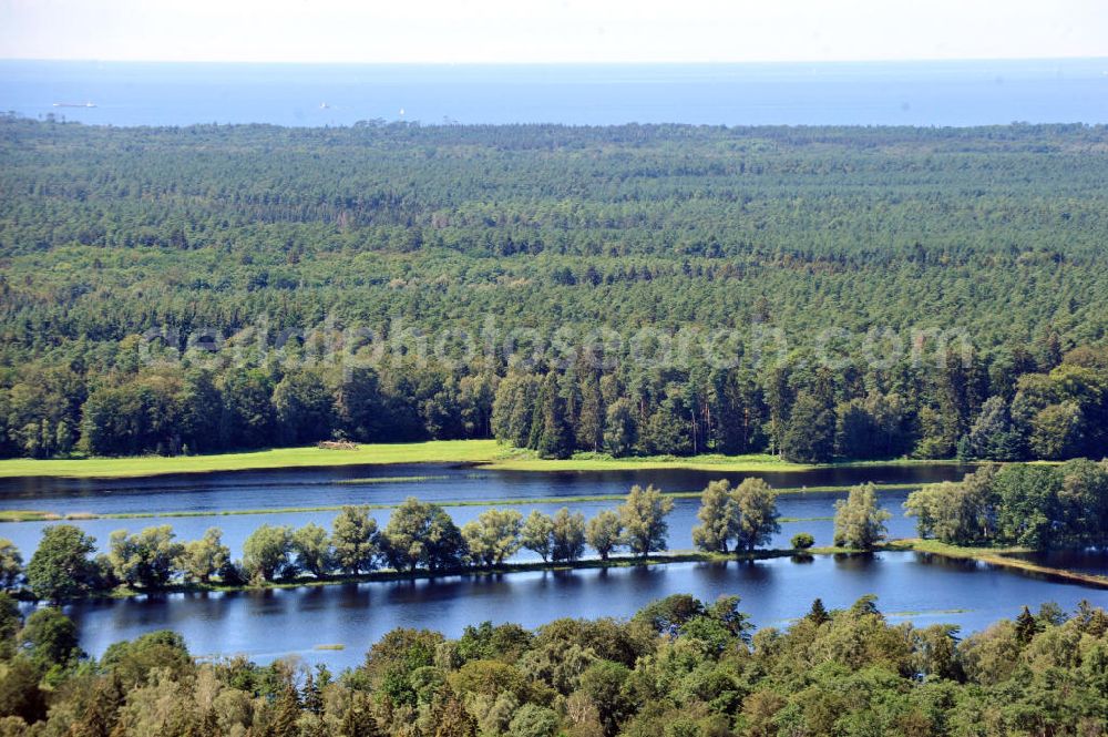 Gelbensande from above - Der, durch überdurchschnittlichen Regen und Grundwassereinfluß überflutete, Gelbensan der Forst, ein küstennahes Waldgebiet mit Mooren und Torfstichen in Mecklenburg-Vorpommern. Flooded landscape conservation area Gelbensan der Forst in Mecklenburg-Western Pomerania.