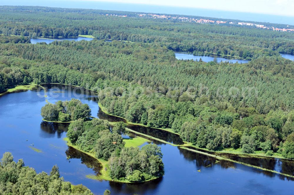 Aerial image Gelbensande - Der, durch überdurchschnittlichen Regen und Grundwassereinfluß überflutete, Gelbensan der Forst, ein küstennahes Waldgebiet mit Mooren und Torfstichen in Mecklenburg-Vorpommern. Flooded landscape conservation area Gelbensan der Forst in Mecklenburg-Western Pomerania.