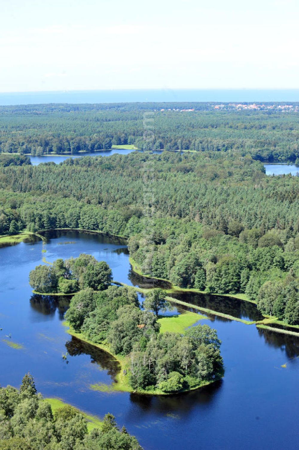 Aerial photograph Gelbensande - Der, durch überdurchschnittlichen Regen und Grundwassereinfluß überflutete, Gelbensan der Forst, ein küstennahes Waldgebiet mit Mooren und Torfstichen in Mecklenburg-Vorpommern. Flooded landscape conservation area Gelbensan der Forst in Mecklenburg-Western Pomerania.