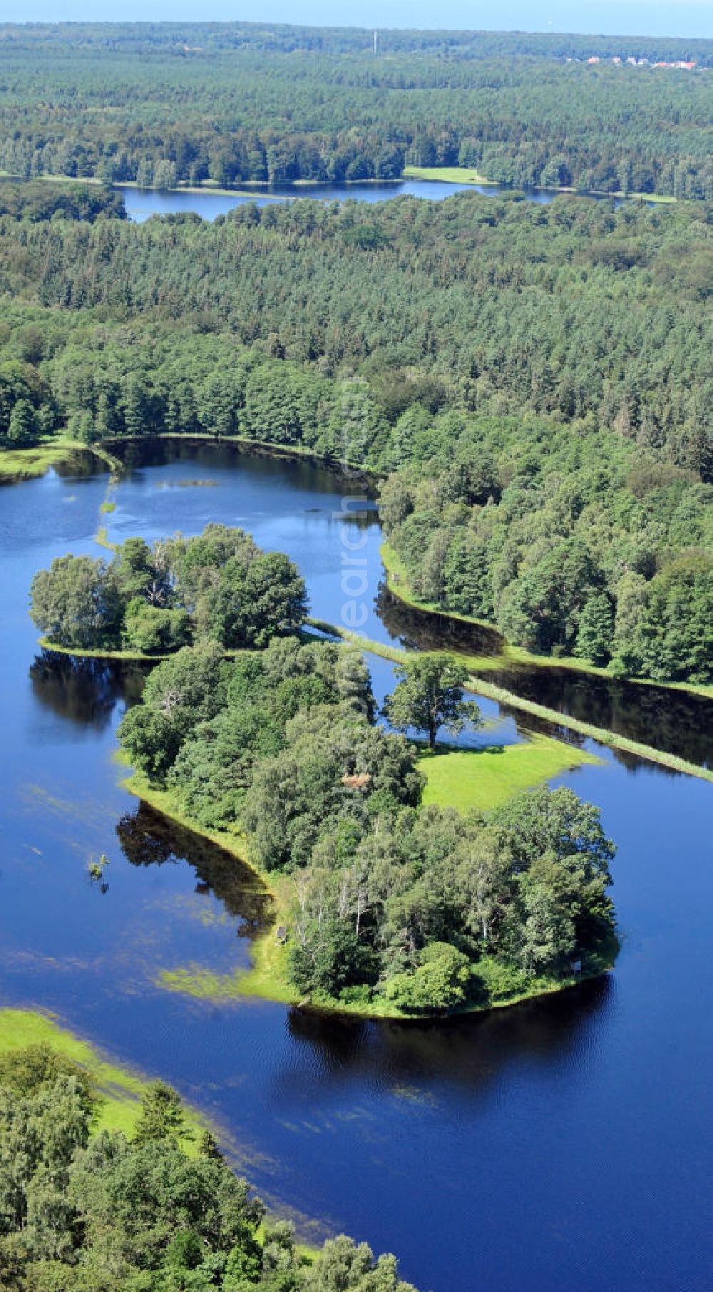 Gelbensande from above - Der, durch überdurchschnittlichen Regen und Grundwassereinfluß überflutete, Gelbensan der Forst, ein küstennahes Waldgebiet mit Mooren und Torfstichen in Mecklenburg-Vorpommern. Flooded landscape conservation area Gelbensan der Forst in Mecklenburg-Western Pomerania.