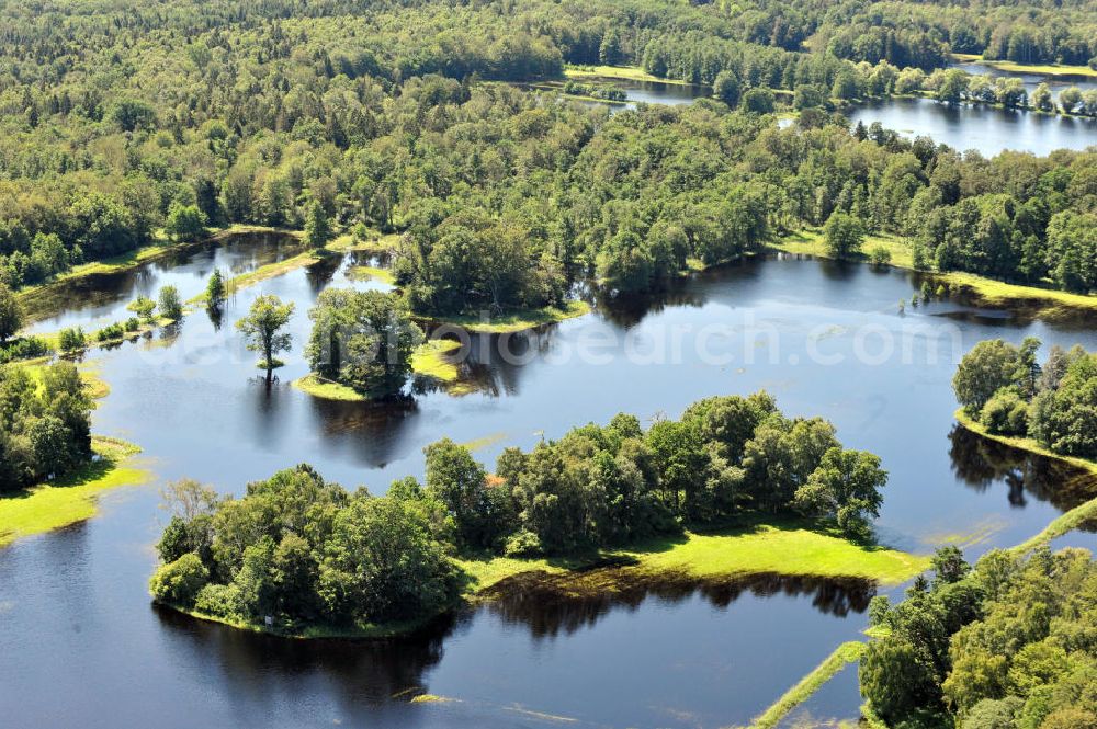 Aerial image Gelbensande - Der, durch überdurchschnittlichen Regen und Grundwassereinfluß überflutete, Gelbensan der Forst, ein küstennahes Waldgebiet mit Mooren und Torfstichen in Mecklenburg-Vorpommern. Flooded landscape conservation area Gelbensan der Forst in Mecklenburg-Western Pomerania.