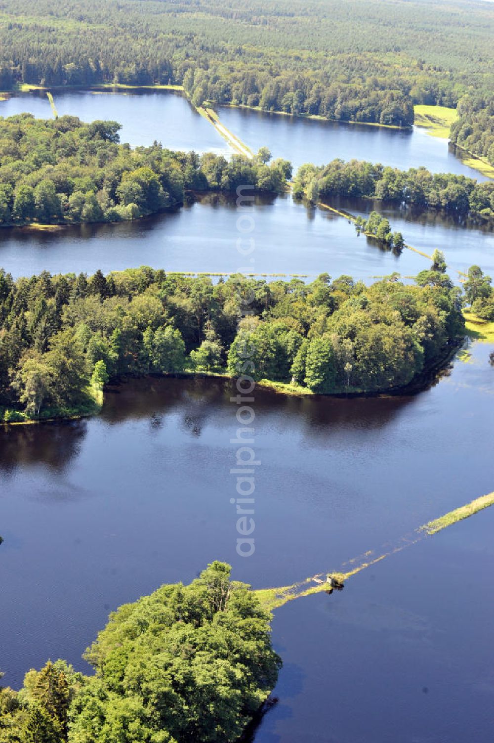 Aerial photograph Gelbensande - Der, durch überdurchschnittlichen Regen und Grundwassereinfluß überflutete, Gelbensan der Forst, ein küstennahes Waldgebiet mit Mooren und Torfstichen in Mecklenburg-Vorpommern. Flooded landscape conservation area Gelbensan der Forst in Mecklenburg-Western Pomerania.