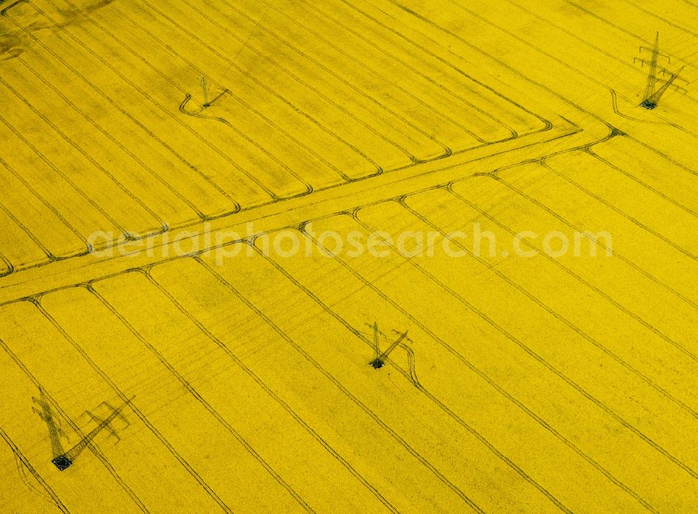 Aerial image Zerben - Yellow rape field with power lines and power poles in Zerben in Saxony-Anhalt