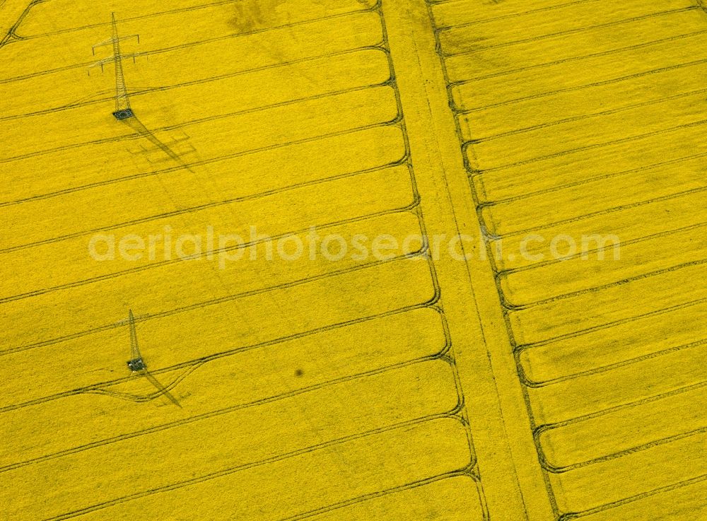 Aerial photograph Zerben - Yellow rape field with power lines and power poles in Zerben in Saxony-Anhalt