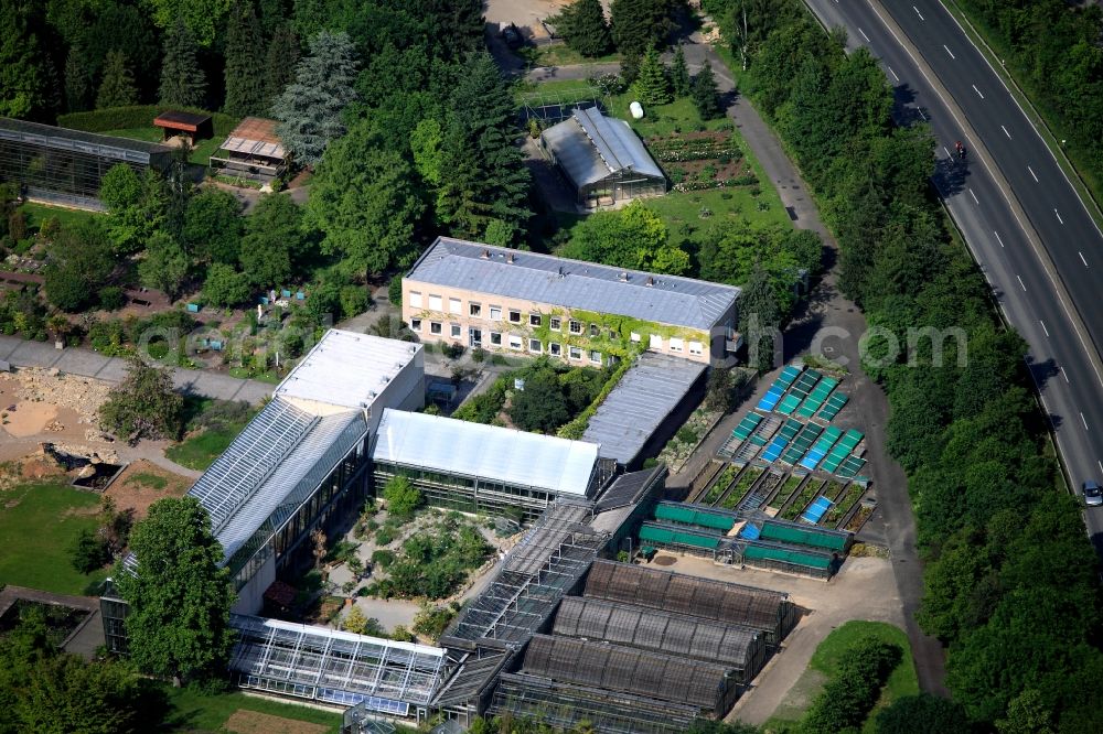 Aerial image Würzburg - Grounds of the Botanical Garden in Würzburg in Bavaria. The botanical garden since 2003, a central institution of the University of Würzburg