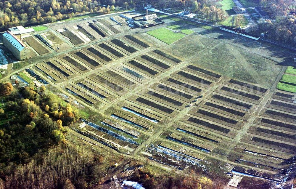 Weimar / Thür. from the bird's eye view: Gelände des ehem KZ Buchenwald auf dem Ettersberg bei Weimar.