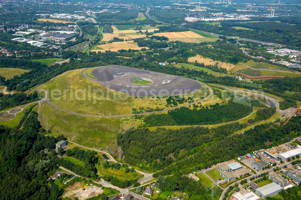 Aerial photograph Gladbeck - Recultivation terrain of the hills of the former mining dump Mottbruchhalde Nature Reserve Natroper field in Gladbeck in North Rhine-Westphalia