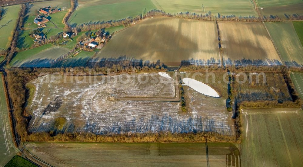 Hamm from above - Tree-lined area of the former coal mine Westfalen pit 7 with field like structures in Ennigerberg midst agriculturally used areas in Hamm in the state North Rhine-Westphalia