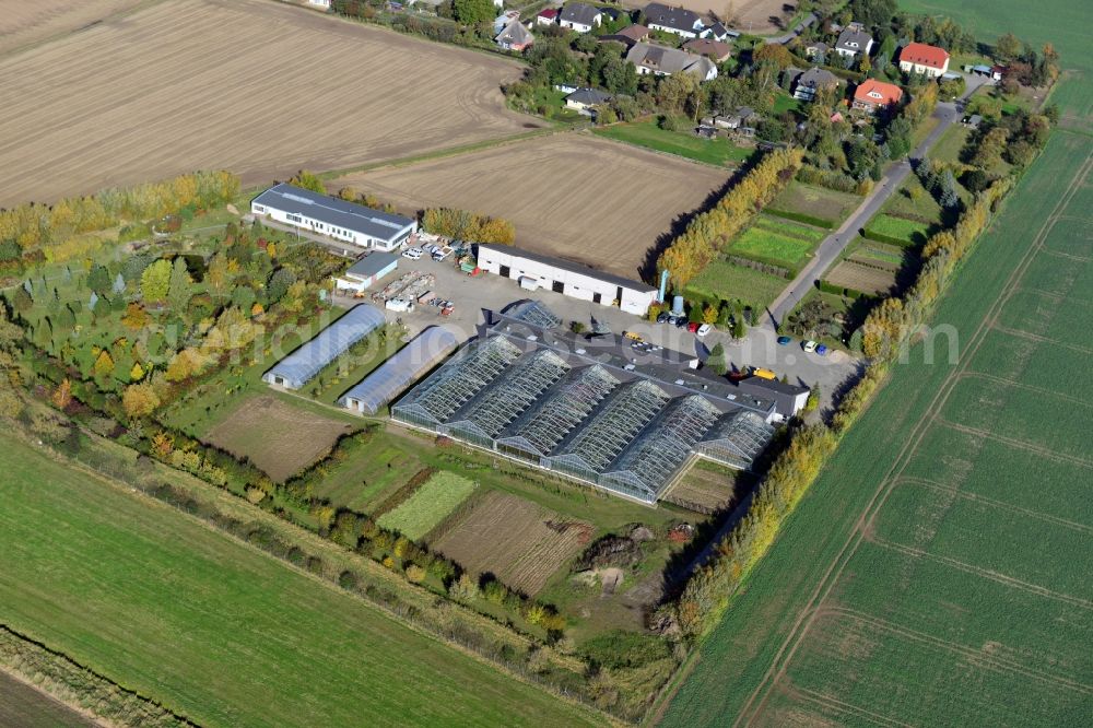 Kemnitz from the bird's eye view: View of the market garden in Kemnitz in the state Mecklenburg-Vorpommern. It is located in the district Kemnitz-Meierei