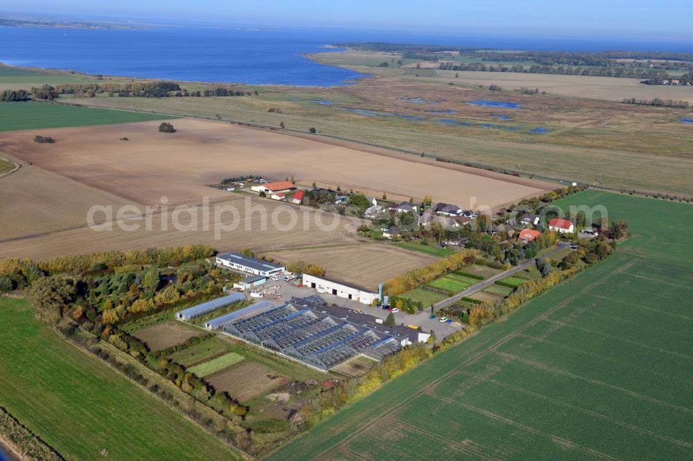 Aerial image Kemnitz - View of the market garden in Kemnitz in the state Mecklenburg-Vorpommern. It is located in the district Kemnitz-Meierei