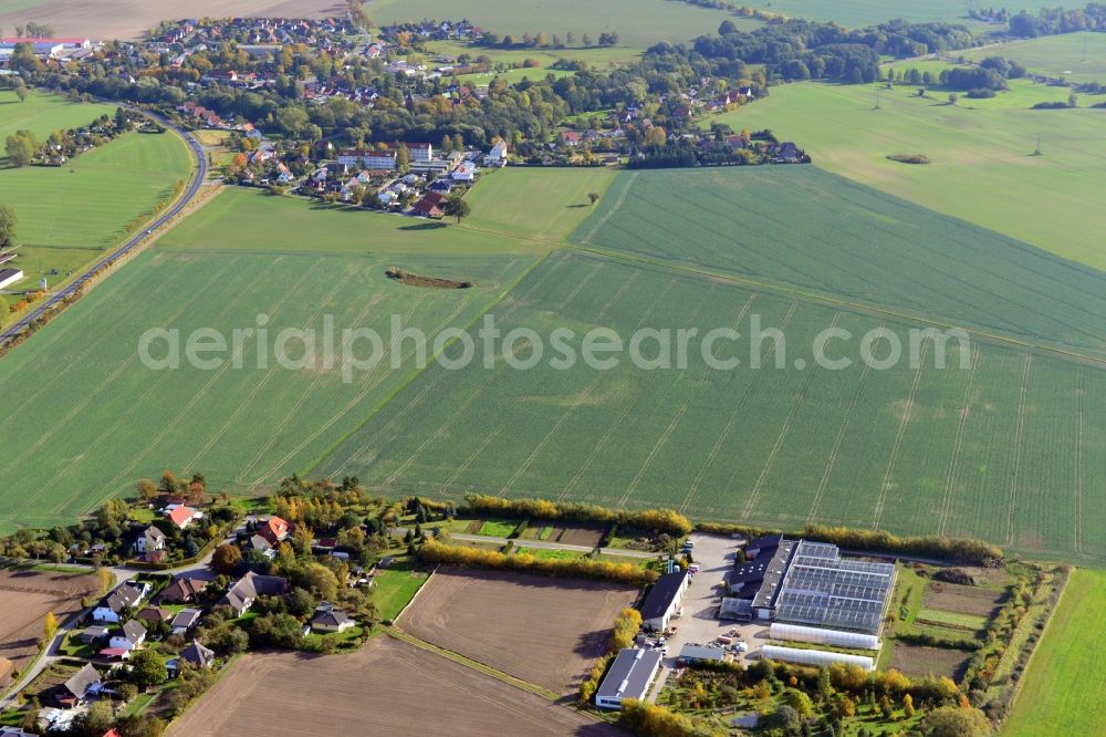 Kemnitz from the bird's eye view: View of the market garden in Kemnitz in the state Mecklenburg-Vorpommern. It is located in the district Kemnitz-Meierei